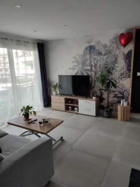 Superbe appartement T2 en plein centre avec piscine, Mandelieu-La-Napoule
